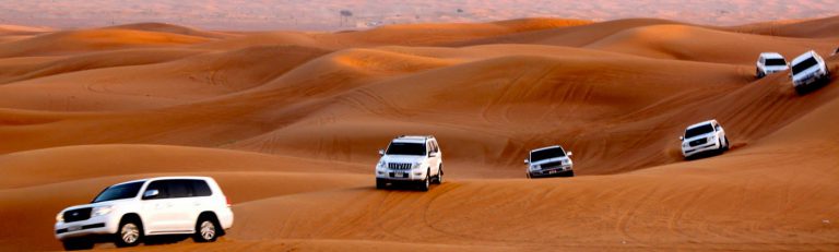 Morning Desert Safari