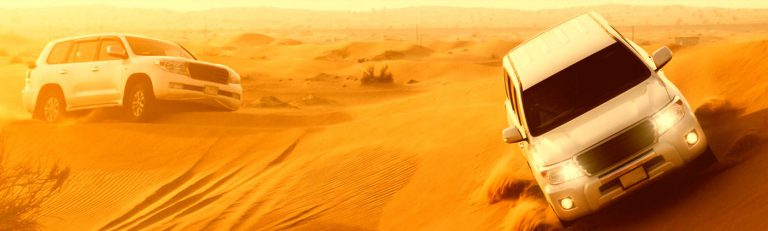 Evening Desert Safari